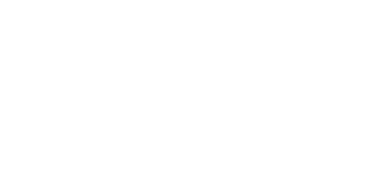 Fessenden Summer logo
